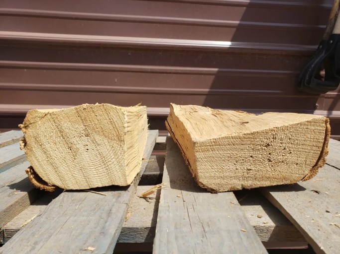 Kiln dried ash logs with a tan toasted color after drying