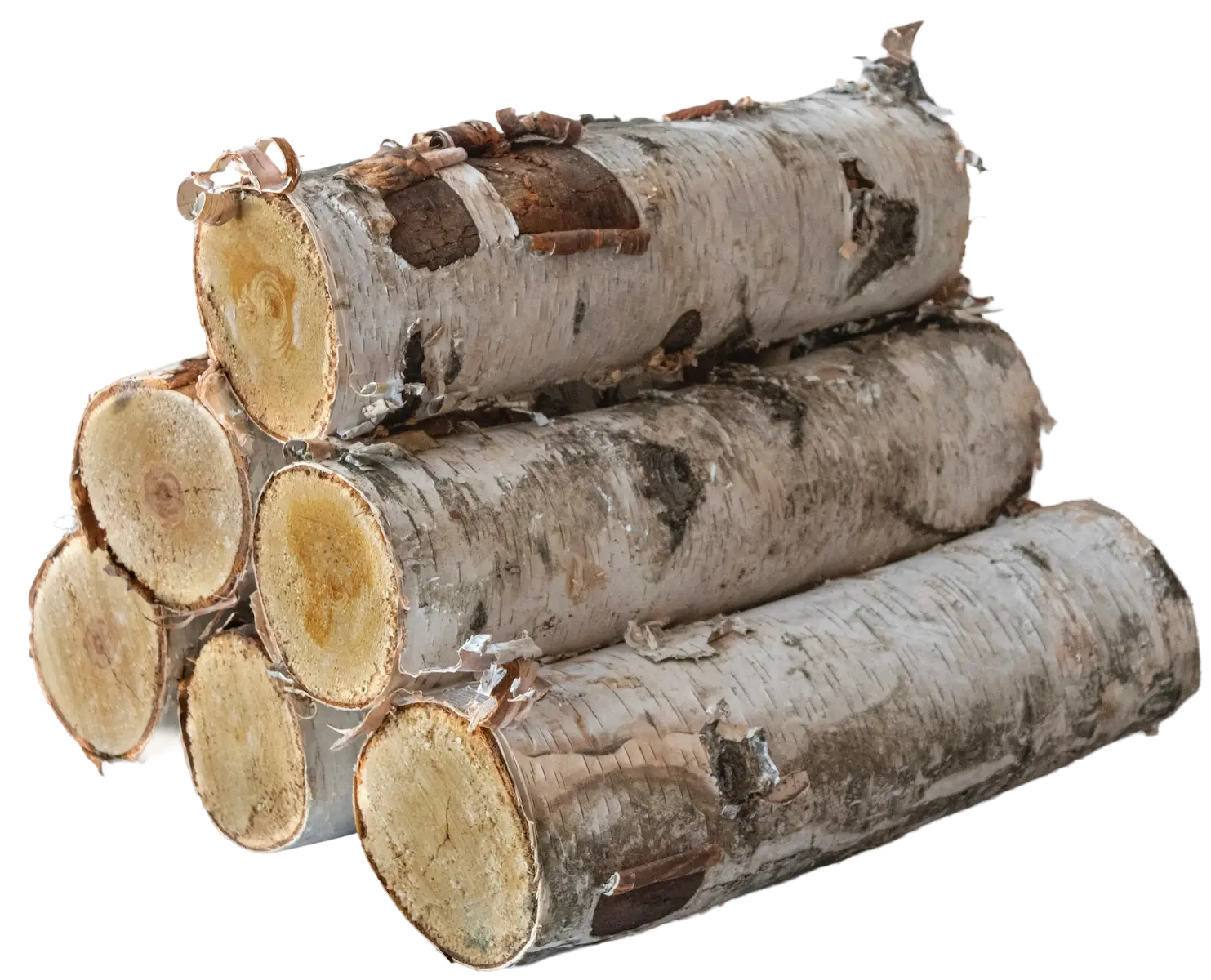 a bundle of 6 decorative white birch logs in a neatly stacked pile