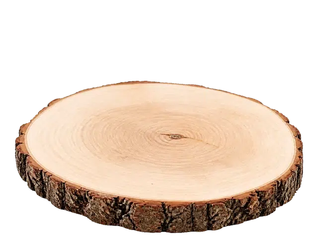 Natural live-edge wood round for tabletop centerpieces and decorative displays