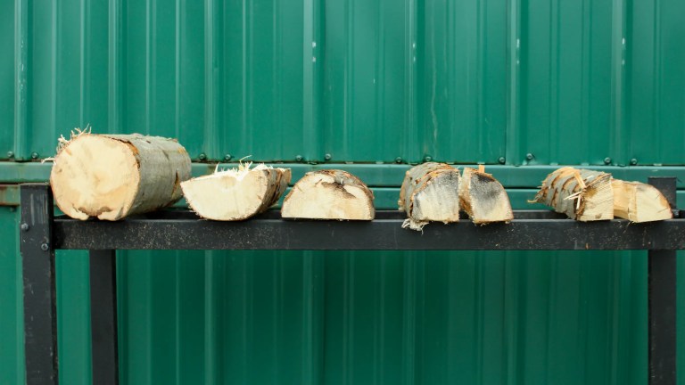 Five firewood pieces cut to the same 16 inch length, from a whole round to a small split, showing how much open face each shape exposes