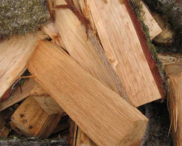 Best Burn Firewood Wisconsin Firewood Info Tips