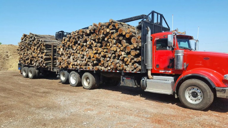 A loaded log semi at the Best Burn Firewood yard in New Berlin, Wisconsin, carrying a full hardwood load under the 96,000 pound gross limit
