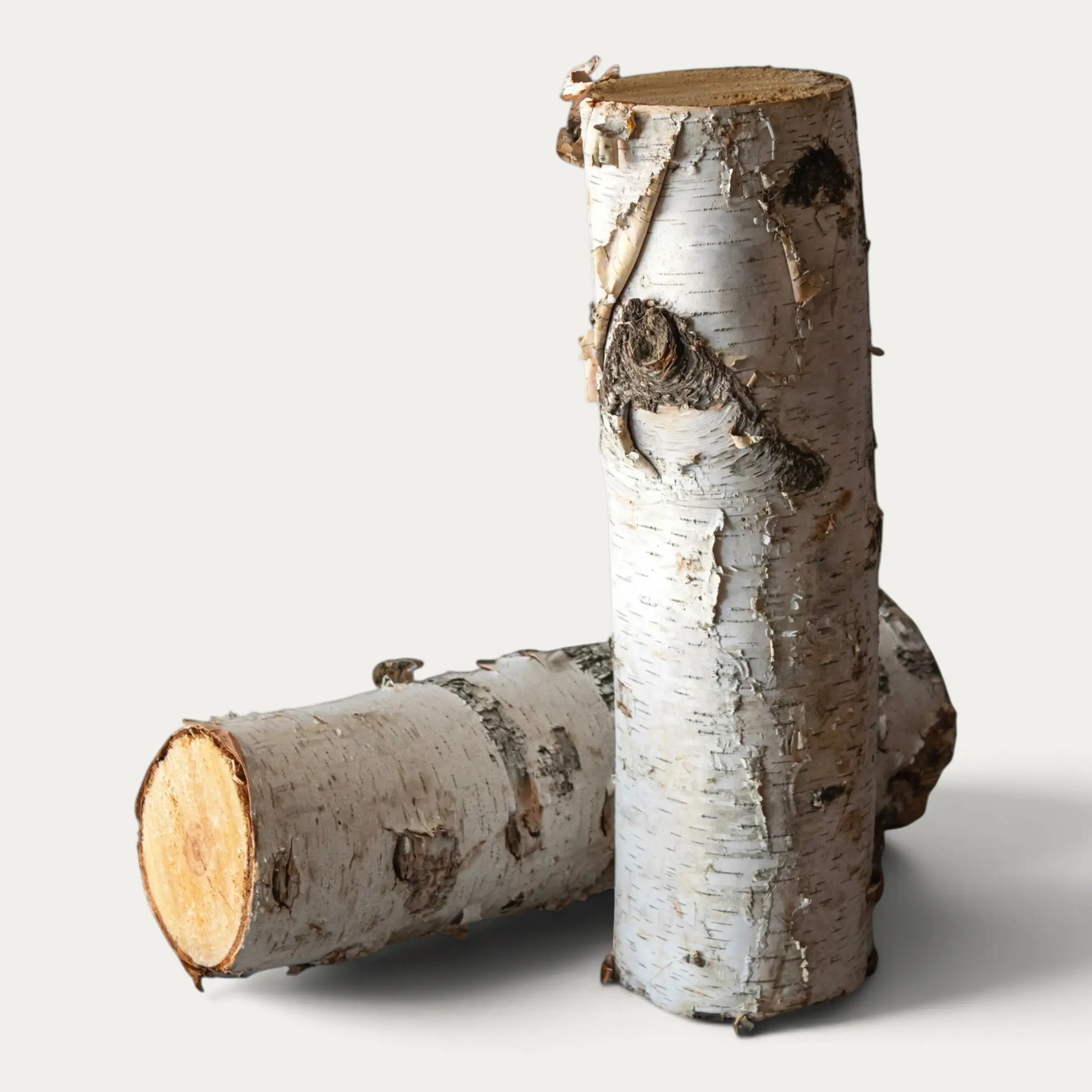 Two decorative white birch logs, one standing upright and one lying on its side showing the cut end grain