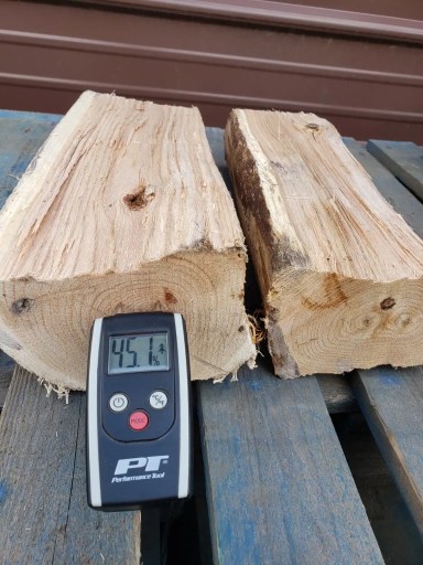 A moisture meter reading 45 percent on the freshly split face of unseasoned red oak firewood